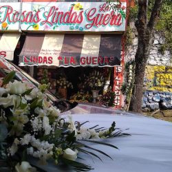 Rosas Lindas La Güera
