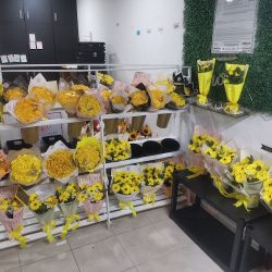 Rosas Mazatlán