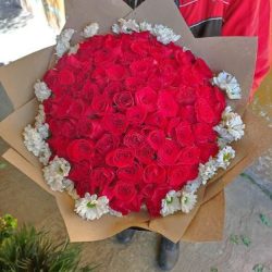 Rosas Rojas