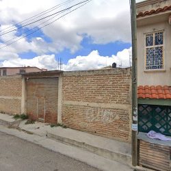 Rosas & Tulipan