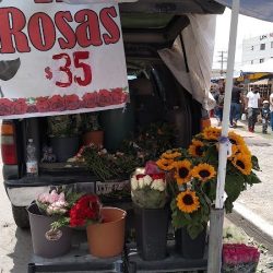 Rosas Xilotzingo Floreria