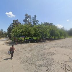 Rosas Y Ramos Ciudad Guzman