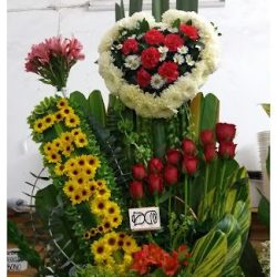 Rosas Y Tulipanes Florería