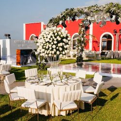 Rosé Florería Veracruz