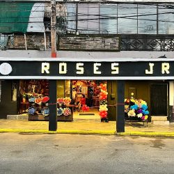 Roses Jr