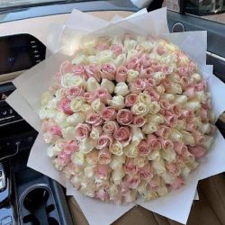 Roses & Roses