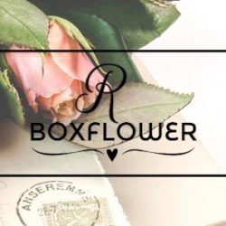 Rossana Boxflower