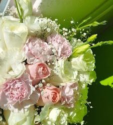 Rosy Florería