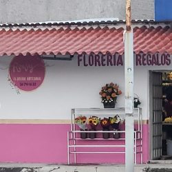Rowy Florería Y Regalos