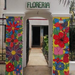 Rr Florería