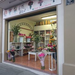 S. L. Florería