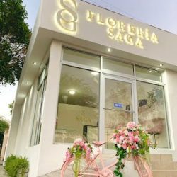 Saga Floreria