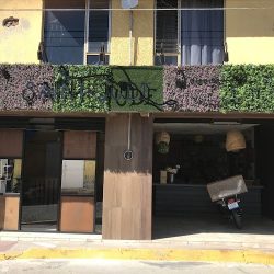 Saint Jude Diseño Floral + Globistería