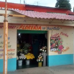 San Bartolo