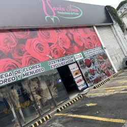 Santa Ana Productores De Flores Suc. Monterrey
