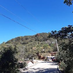 Santa Catarina Loxicha Pochutla Oaxaca