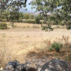 Santa Clara Del Tule Mich