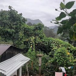 Santa Cruz Huitzmaloc Ajalpan Pue.