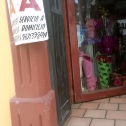 Santa Lucia Floreria ,san Critobal Chiapas