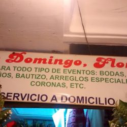 Santo Domingo, Florería