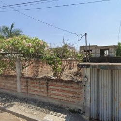 Se Venden Plantas