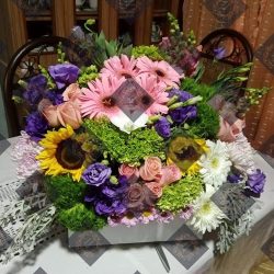 Socios Florería