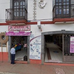 "sofia Flower Shop"