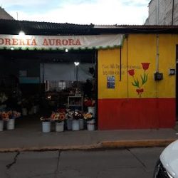 Sucursal 1 Florería Aurora