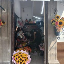 Sunflower Florería