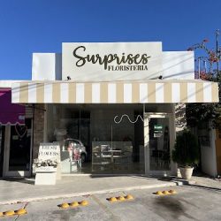 Surprises Floristeria
