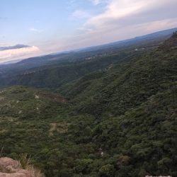 Tapalpa Flor