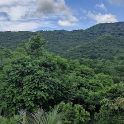 Tecacahuaco