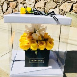 Telón De Rosas