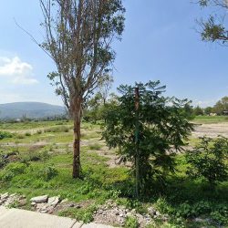 Tepeji Del Río Ocampo Hidalgo
