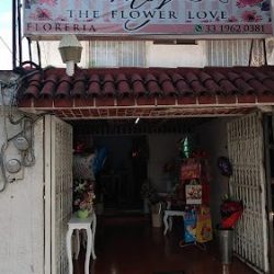 The Flower Love