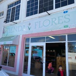 Tienda De Flores María José