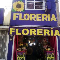 Tienda De Regalos Floreria