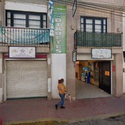 Tienda De Regalos Y Florería Anthurio