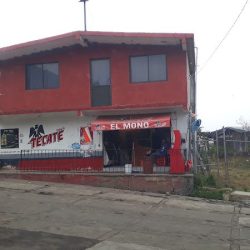 Tienda "el Mono"