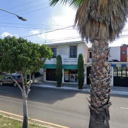 Tienda Floral - Cherry Blooms
