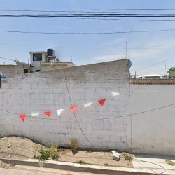 Tienda "flores Martinez"