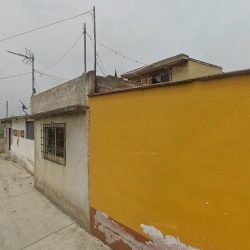 Tienda Las Flores