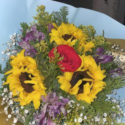 Todo En Flores