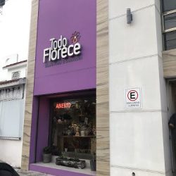Todo Florece