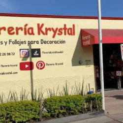 Tonalá FlorerÍa Krystal