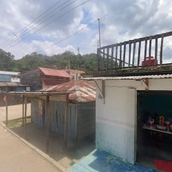 Tortillería Las Flores