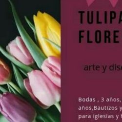 Tulipanes Floreria