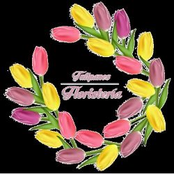 Tulipanes Floristería