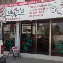 Tulyp's Floreria