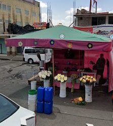 Tutienditadeflores